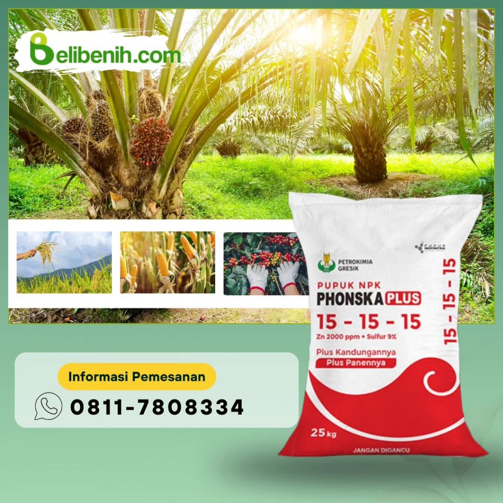 Pupuk NPK beli benih